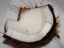 coconut